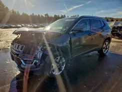 3C4NJDCB9LT106770 2020 JEEP COMPASS