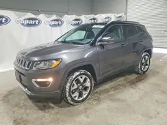 3C4NJDCB9LT135248 2020 JEEP COMPASS