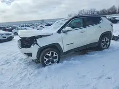 3C4NJDCB9LT142457 2020 JEEP COMPASS