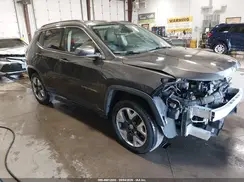 3C4NJDCB9LT167116 2020 JEEP COMPASS