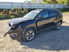 3C4NJDCB9LT196616 2020 JEEP COMPASS