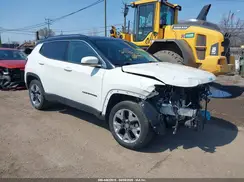 3C4NJDCB9LT216010 2020 JEEP COMPASS