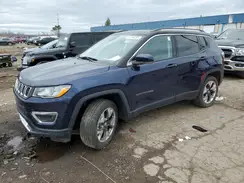 3C4NJDCB9LT228318 2020 JEEP COMPASS