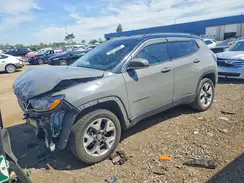3C4NJDCB9LT233809 2020 JEEP COMPASS