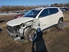3C4NJDCB9MT528023 2021 JEEP COMPASS