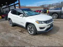 3C4NJDCB9MT559045 2021 JEEP COMPASS