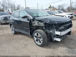 3C4NJDCB9MT576038 2021 JEEP COMPASS