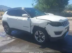 3C4NJDCB9MT591199 2021 JEEP COMPASS