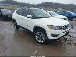 3C4NJDCBXLT233821 2020 JEEP COMPASS