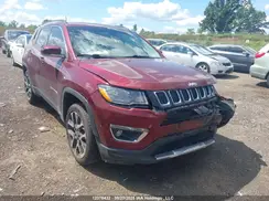 3C4NJDCBXLT236010 2020 JEEP COMPASS