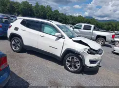 3C4NJDCBXMT572385 2021 JEEP COMPASS