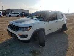 3C4NJDDB0LT118644 2020 JEEP COMPASS