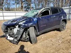 3C4NJDDB0LT127036 2020 JEEP COMPASS