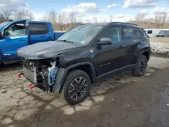 3C4NJDDB0LT165477 2020 JEEP COMPASS