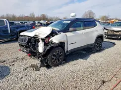 3C4NJDDB0LT184319 2020 JEEP COMPASS