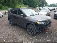 3C4NJDDB0LT189441 2020 JEEP COMPASS