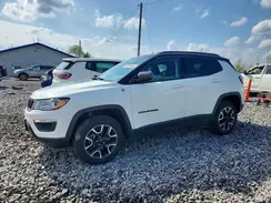 3C4NJDDB0LT189634 2020 JEEP COMPASS