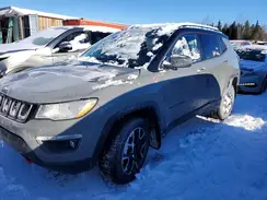 3C4NJDDB0MT602444 2021 JEEP COMPASS