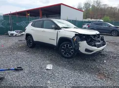 3C4NJDDB1KT671317 2019 JEEP COMPASS