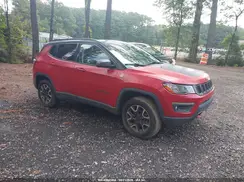 3C4NJDDB1LT118975 2020 JEEP COMPASS