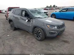 3C4NJDDB1LT160790 2020 JEEP COMPASS