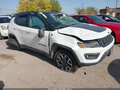 3C4NJDDB1LT171966 2020 JEEP COMPASS