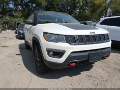3C4NJDDB1LT195233 2020 JEEP COMPASS