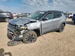 3C4NJDDB1LT226853 2020 JEEP COMPASS