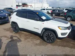 3C4NJDDB1LT226979 2020 JEEP COMPASS