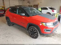 3C4NJDDB1LT236802 2020 JEEP COMPASS