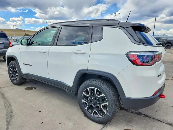 3C4NJDDB1LT248710 2020 JEEP COMPASS - Image 2
