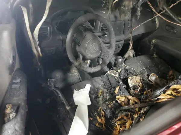 3C4NJDDB1MT560513 2021 JEEP COMPASS - Image 8