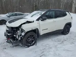 3C4NJDDB1MT569924 2021 JEEP COMPASS