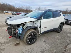 3C4NJDDB2KT807504 2019 JEEP COMPASS