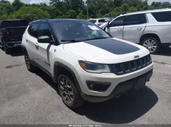 3C4NJDDB2LT125434 2020 JEEP COMPASS