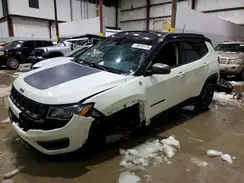 3C4NJDDB3KT622491 2019 JEEP COMPASS