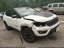 3C4NJDDB3KT650534 2019 JEEP COMPASS