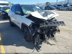 3C4NJDDB3KT668970 2019 JEEP COMPASS