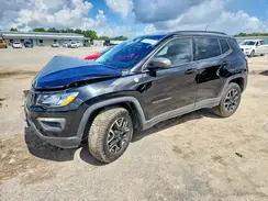 3C4NJDDB3KT754022 2019 JEEP COMPASS