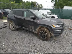 3C4NJDDB3LT223985 2020 JEEP COMPASS