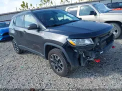 3C4NJDDB4LT171931 2020 JEEP COMPASS