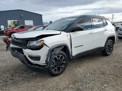3C4NJDDB4LT172030 2020 JEEP COMPASS