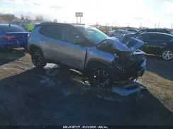 3C4NJDDB4LT184288 2020 JEEP COMPASS