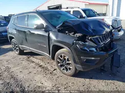 3C4NJDDB4LT220965 2020 JEEP COMPASS