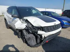 3C4NJDDB5LT133561 2020 JEEP COMPASS