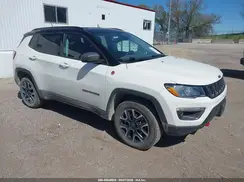 3C4NJDDB5LT151624 2020 JEEP COMPASS