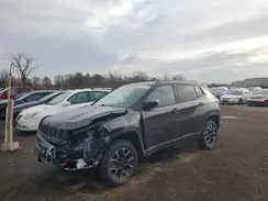 3C4NJDDB5LT189516 2020 JEEP COMPASS