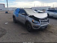 3C4NJDDB5MT600494 2021 JEEP COMPASS
