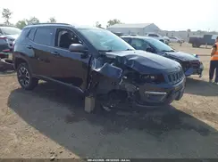 3C4NJDDB6LT138770 2020 JEEP COMPASS