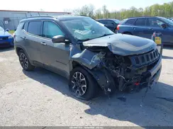 3C4NJDDB6LT151373 2020 JEEP COMPASS